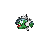 バスラオ（しろすじのすがた）